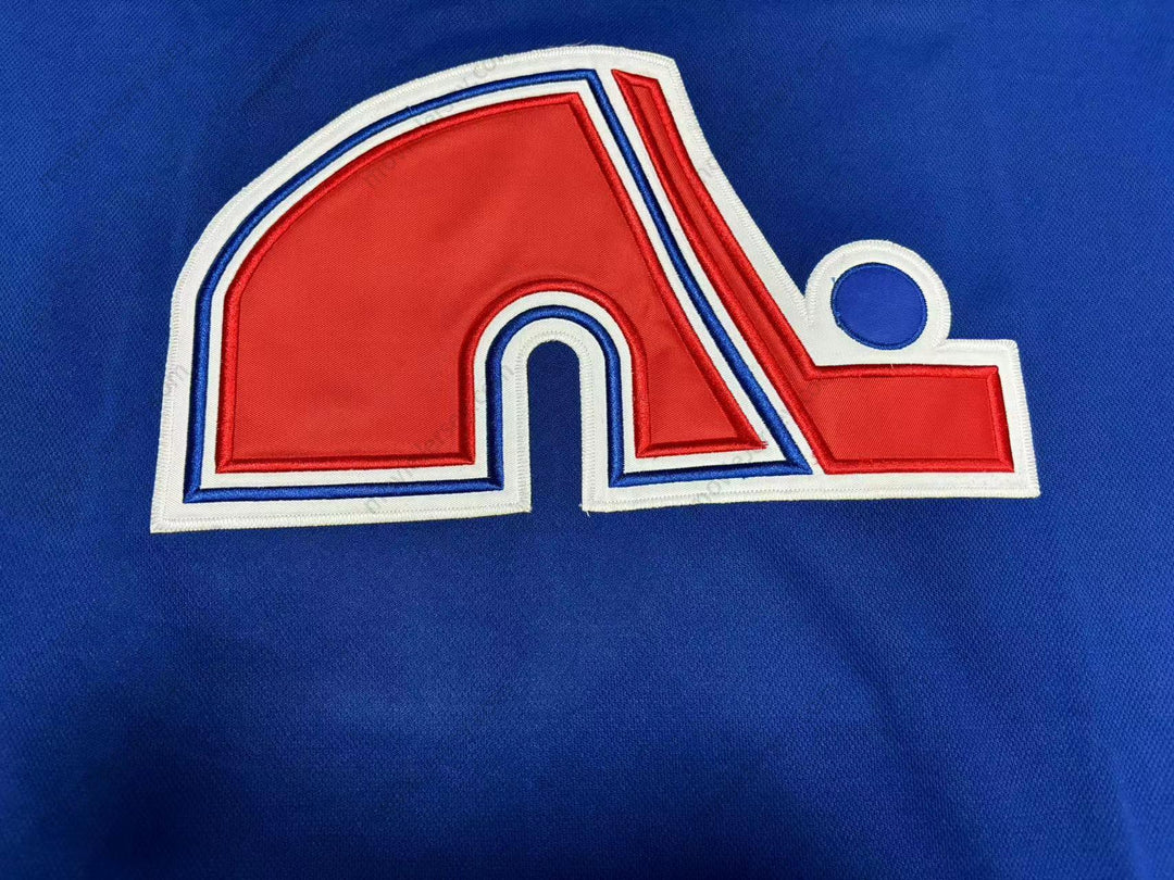 Custom Any Name Number GUY LAFLEUR 10 QUEBEC NORDIQUES HOCKEY JERSEY Top Stitched S-6XL