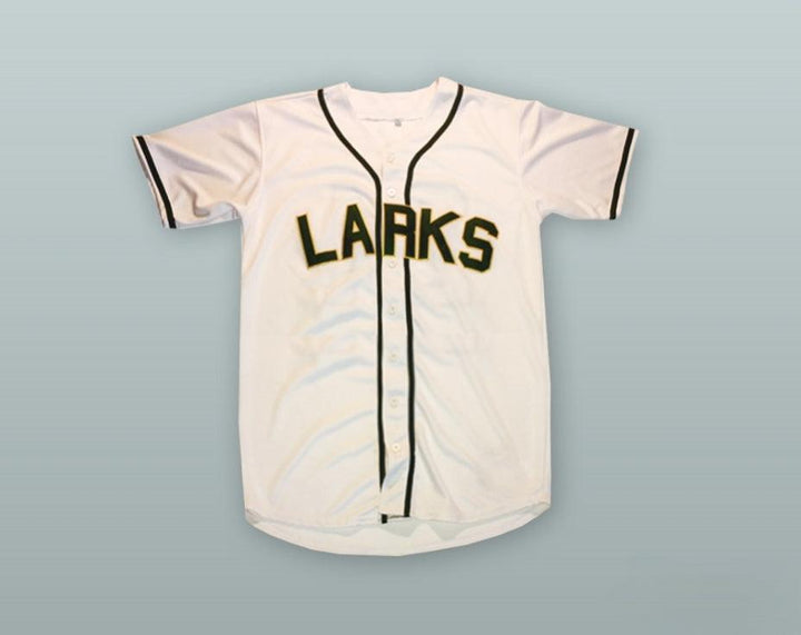 Custom Any Name Number LARKS NEGRO LEAGUE BASEBALL JERSEY Top Stitched S-6XL