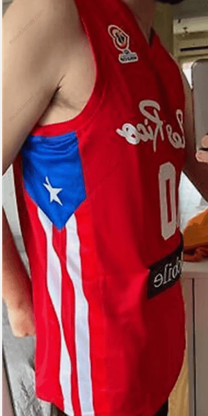 Custom Any Name Number Puerto Rico #10 Alvarado Basketball Jersey #51 Waters Clavell Sewn Stitched S-6XL