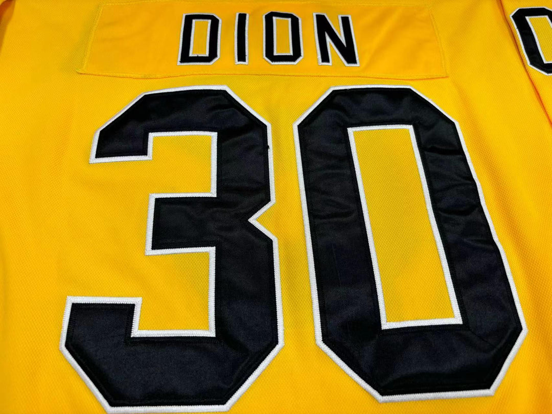 Custom Any Name Number WHA MICHEL DION 30 CINCINNATI STINGERS HOCKEY JERSEY  Top Stitched S-6XL