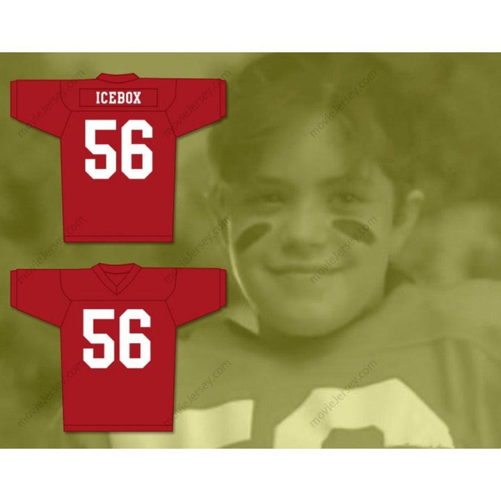 CUSTOM ANY Name Number LITTLE GIANTS BECKY ICEBOX O'SHEA 56 Football Jersey Top Stitched S-6XL