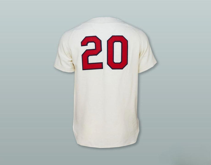 Custom Any Name Number  CRACKERS 20 WHITE BUTTON DOWN BASEBALL JERSEY Top Stitched S-6XL