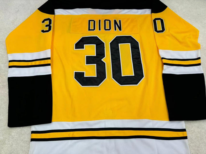 Custom Any Name Number WHA MICHEL DION 30 CINCINNATI STINGERS HOCKEY JERSEY  Top Stitched S-6XL
