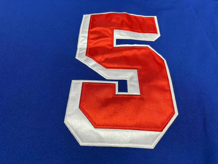 Custom Any Name Number ROANOKE VALLEY REBELS 5 BLUE TIE DOWN HOCKEY JERSEYTop Stitched S-6XL