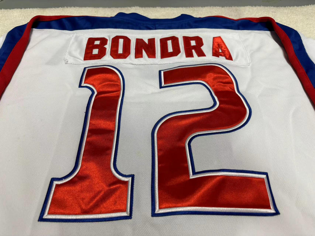 Custom Any Name Number PETER BONDRA 12 SLOVAKIA NATIONAL TEAM WHITE HOCKEY JERSEY Stitched Top Stitched S-6XL