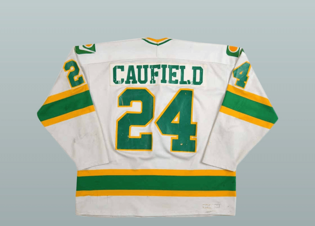Custom Any Name Number Jay Caufield 24 Toledo Goaldiggers Hockey Jersey Top Stitched S-6XL