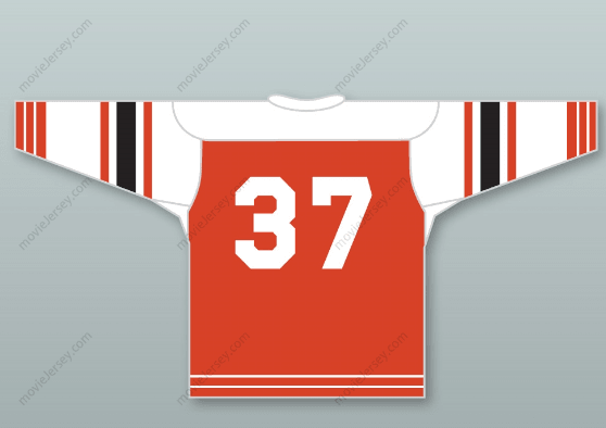 Custom Any Name Number Buffalo Bisons Old School Hockey Jersey Top Stitched S-6XL