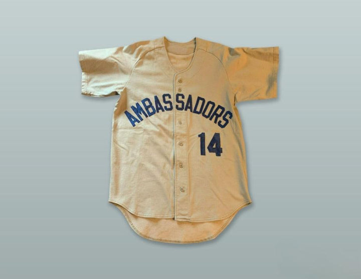 Custom Any Name Number AMBASSADORS 14 BEIGE BUTTON DOWN BASEBALL JERSEY Top Stitched S-6XL