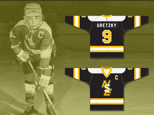 Custom Any Name Number Wayne Gretzky 9 Brantford Nadrofsky Steelers Hockey Jersey  Top Stitched S-6XL