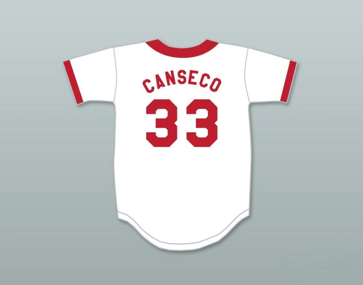 Custom Any Name Number JOSÉ CANSECO 33  NUCLEAR POWER PLANT SOFTBALL TEAM BASEBALL JERSEY Top Stitched S-6XL
