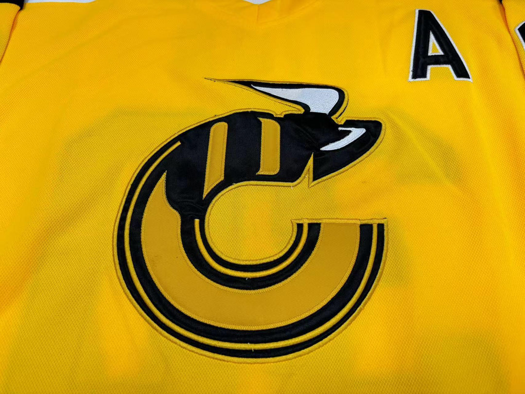 Custom Any Name Number WHA MICHEL DION 30 CINCINNATI STINGERS HOCKEY JERSEY  Top Stitched S-6XL