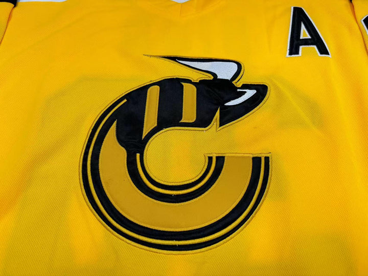 Custom Any Name Number WHA MICHEL DION 30 CINCINNATI STINGERS HOCKEY JERSEY  Top Stitched S-6XL