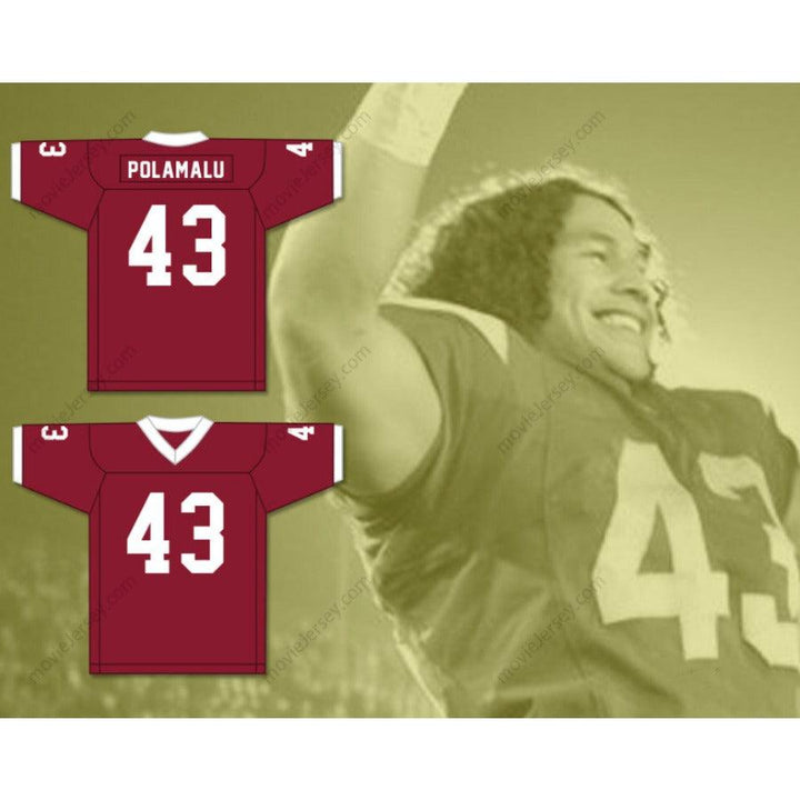 TROY POLAMALU 43 DOUGLAS HIGH SCHOOL TROJANS GRAY Football Jersey