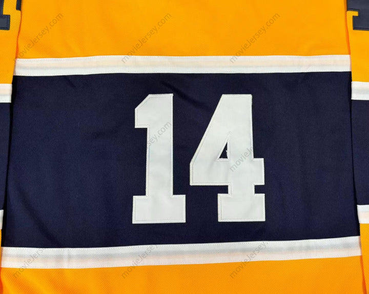 Custom Any Name Number NASHVILLE DIXIE FLYERS HOCKEY Stitched Top Stitched S-6XL