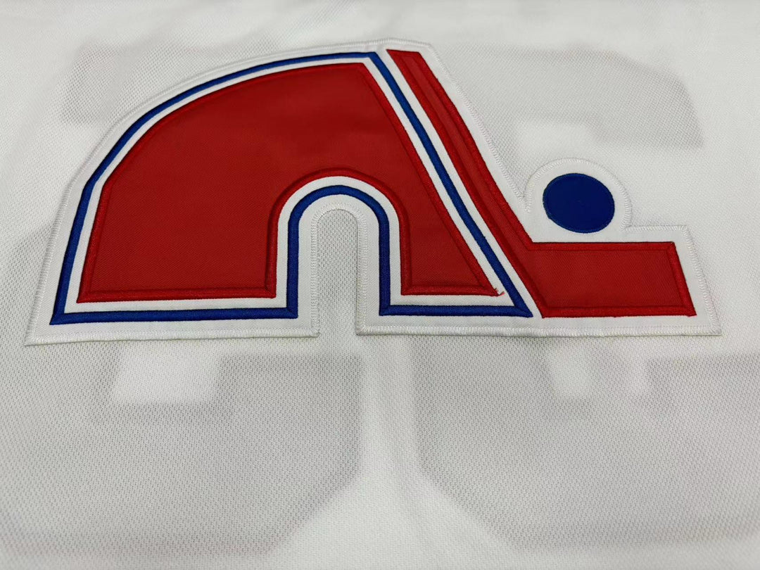 Custom Any Name Number STEPHANE FISET 35 QUEBEC NORDIQUES WHITE HOCKEY JERSEY Top Stitched S-6XL