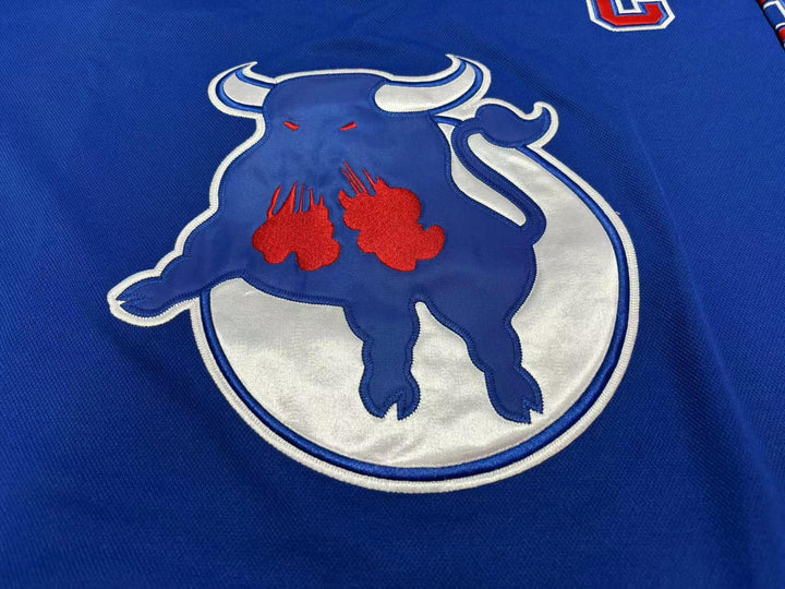 Custom Any Name Number WAYNE CARLETON TORONTO TOROS WHA HOCKEY JERSEY NEW Stitched Top Stitched S-6XL