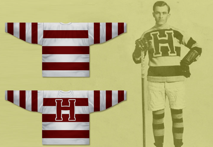 Custom Any Name Number Haileybury Comets NHA Hockey Jersey Top Stitched S-6XL