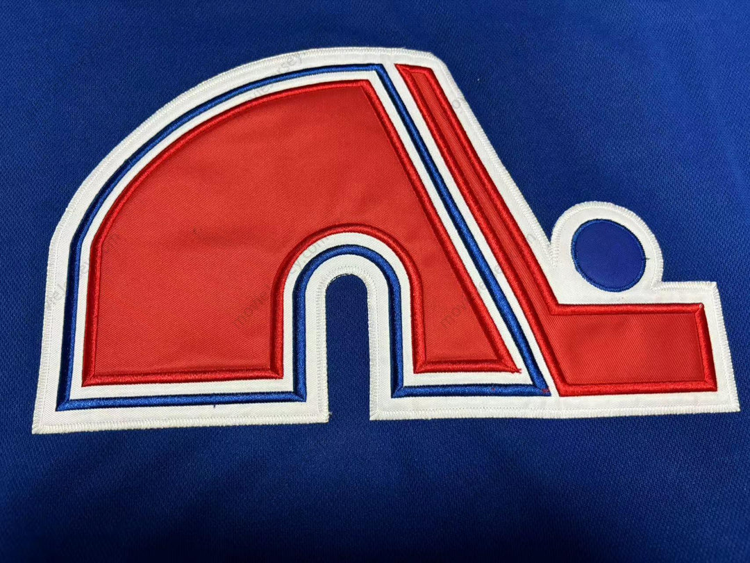 Custom Any Name Number MICHEL GOULET 16 QUEBEC NORDIQUES HOCKEY JERSEY Top Stitched S-6XL