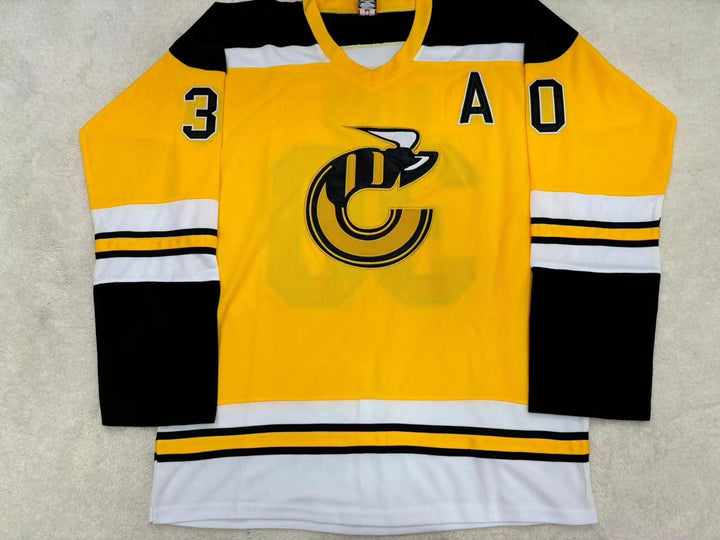 Custom Any Name Number WHA MICHEL DION 30 CINCINNATI STINGERS HOCKEY JERSEY  Top Stitched S-6XL