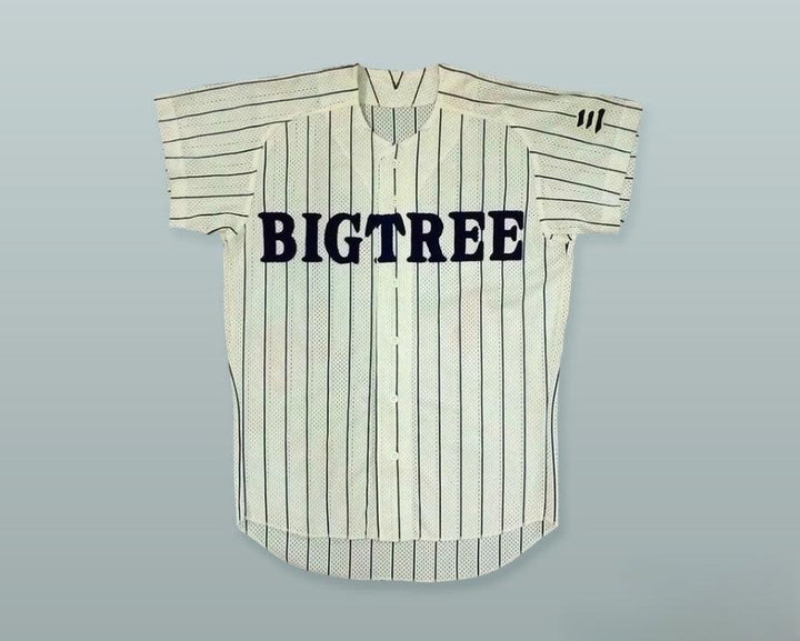 Custom Any Name Number BIGTREE 35 JAPAN PINSTRIPED BASEBALL JERSEY Top Stitched S-6XL