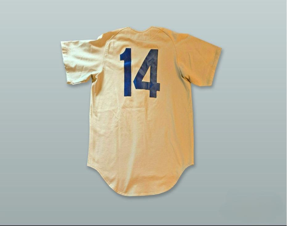Custom Any Name Number AMBASSADORS 14 BEIGE BUTTON DOWN BASEBALL JERSEY Top Stitched S-6XL