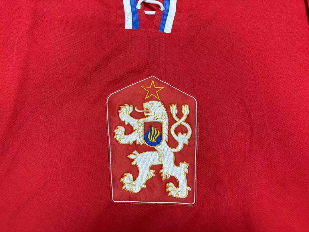 Custom Any Name Number PETER STASTNY CZECHOSLOVAKIA HOCKEY JERSEY Top Stitched S-6XL