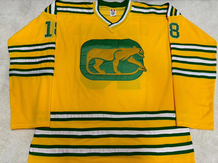 Custom Any Name Number WHA 1974-75 CHICAGO COUGARS BRYON BALTIMORE 18 AWAY HOCKEY JERSEY Stitched Top Stitched S-6XL