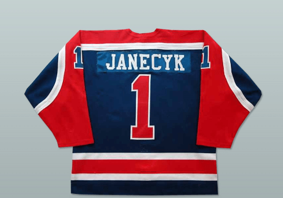 Custom Any Name Number Bob Janecyk New Haven Nighthawks Hockey Jersey Top Stitched S-6XL