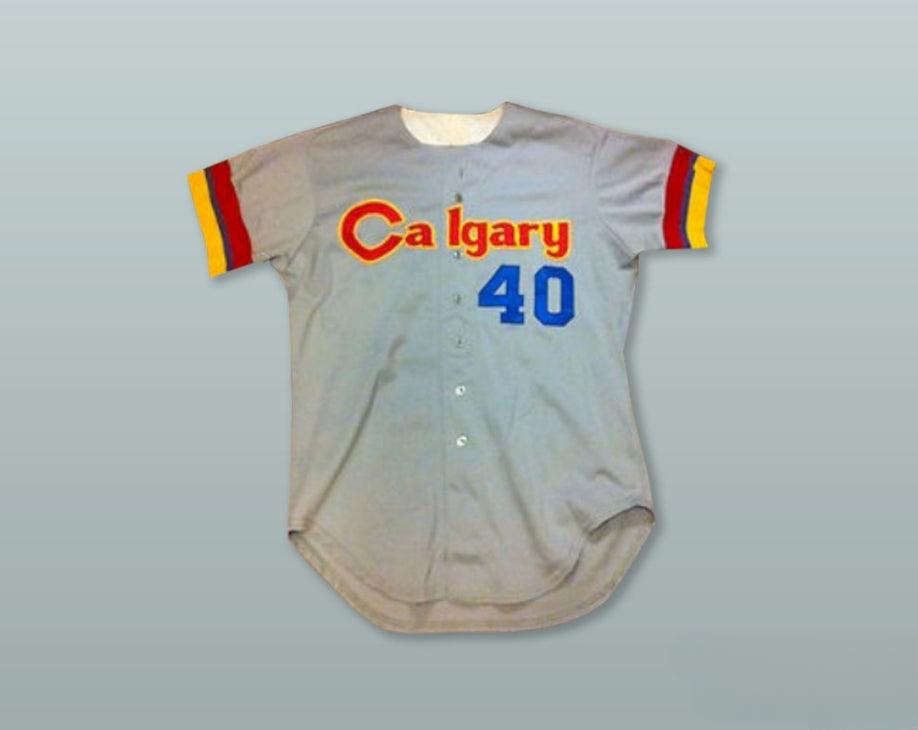 Custom Any Name Number CALGARY CANNONS 40 GRAY BUTTON DOWN BASEBALL JERSEY Top Stitched S-6XL