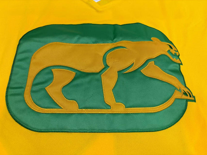 Custom Any Name Number WHA 1974-75 CHICAGO COUGARS BRYON BALTIMORE 18 AWAY HOCKEY JERSEY Stitched Top Stitched S-6XL
