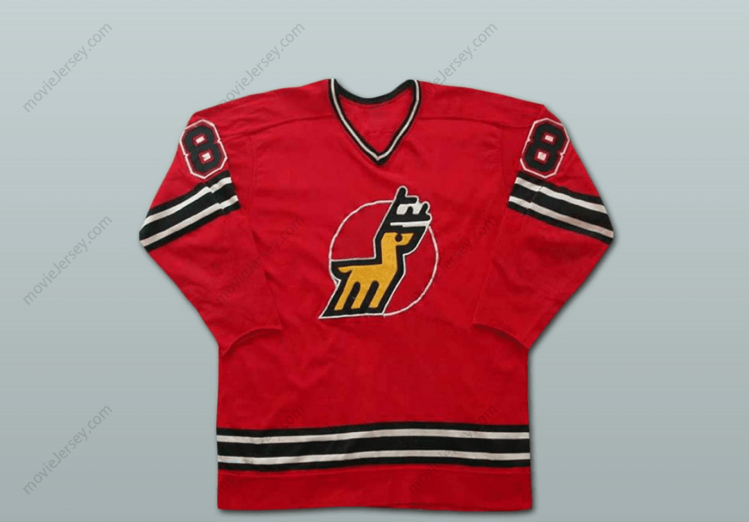 Custom Any Name Number Danny Gruen Michigan Stags Hockey Jersey Top Stitched S-6XL