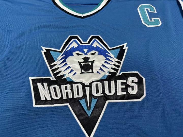 Custom Any Name Number JOE SAKIC 19 QUEBEC NORDIQUES BLUE HOCKEY JERSEY Top Stitched S-6XL