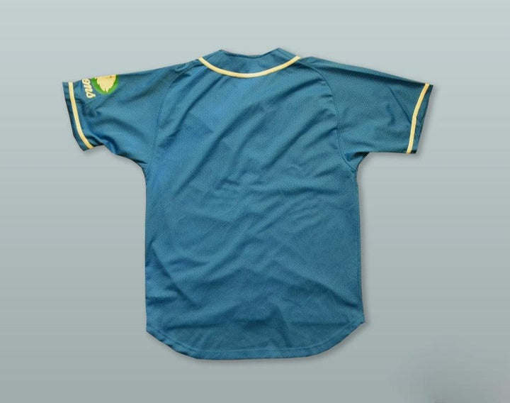 Custom Any Name Number SEIBU LIONS TEAL BUTTON DOWN BASEBALL JERSEY Top Stitched S-6XL