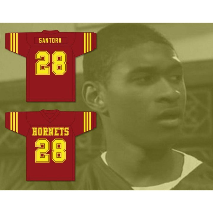 CUSTOM ANY Name Number GABE SANTORA 28 HERRINGTON HORNETS HIGH SCHOOL FOOTBALL JERSEY THE FACULTY Top Stitched S-6XL
